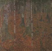 Gustav Klimt Birch Wood (mk20) oil painting picture wholesale